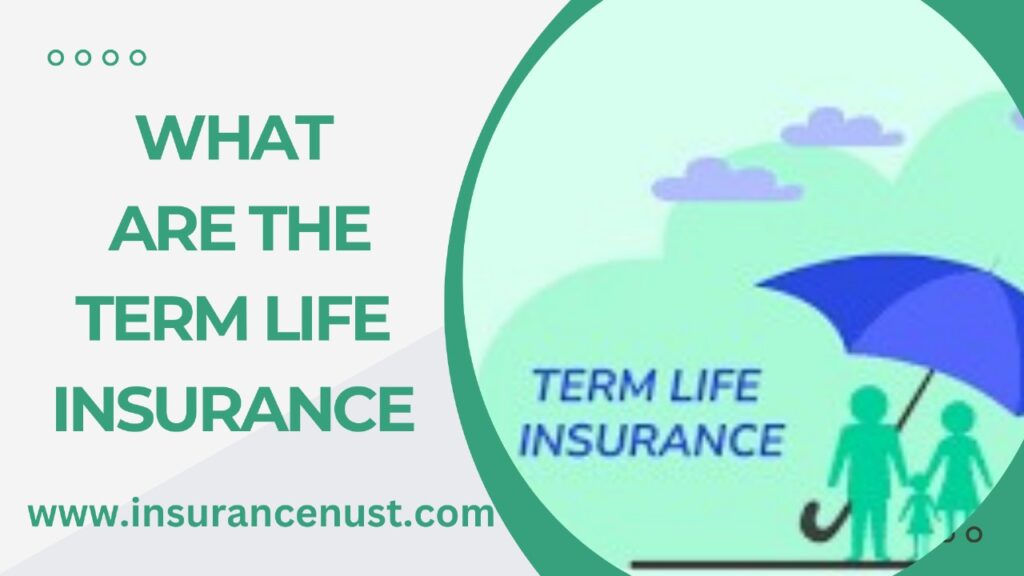 What Are The Term Life Insurance