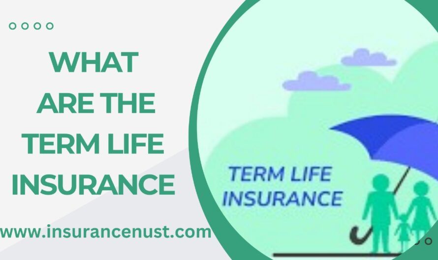What Are The Term Life Insurance