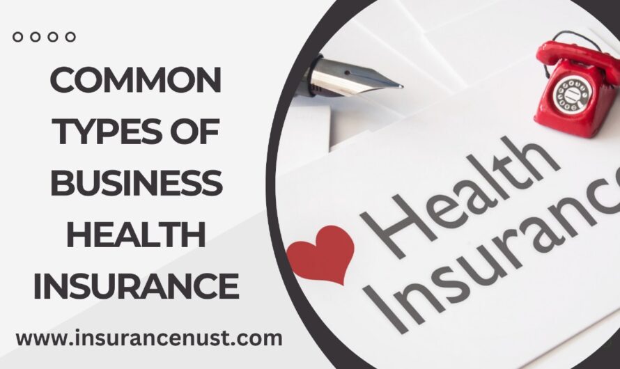 COMMON TYPES OF BUSINESS HEALTH INSURANCE?