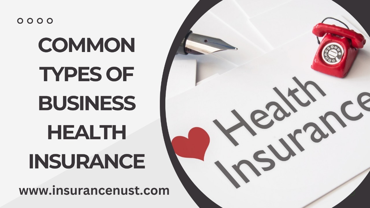 COMMON TYPES OF BUSINESS HEALTH INSURANCE?